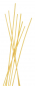 Preview: Spaghetti alla chitarra, Pasta Mancini, 500 g