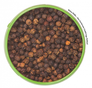 schwarzer Belem-Pfeffer ganz, 80 g, Altes Gewürzamt