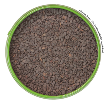 Preview: Sesamsaat schwarz, ganz, ungeschält, 100g Dose, Altes Gewürzamt